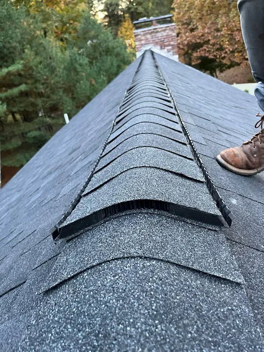 Loyalty Exterior Roofing Solutions Picture 3