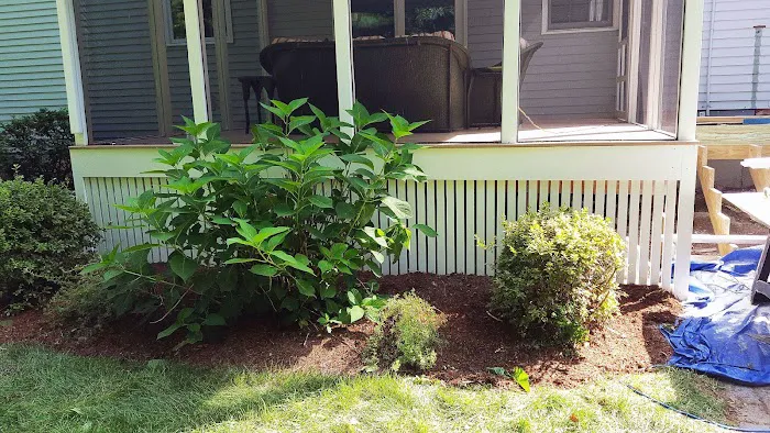Jancon Exteriors Picture 6