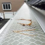 New England Improvements