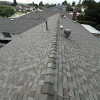 Professional Roofing ico