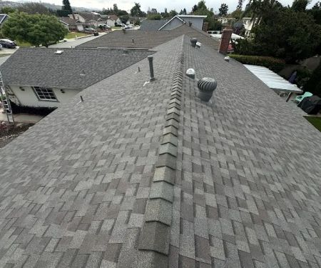 Professional Roofing