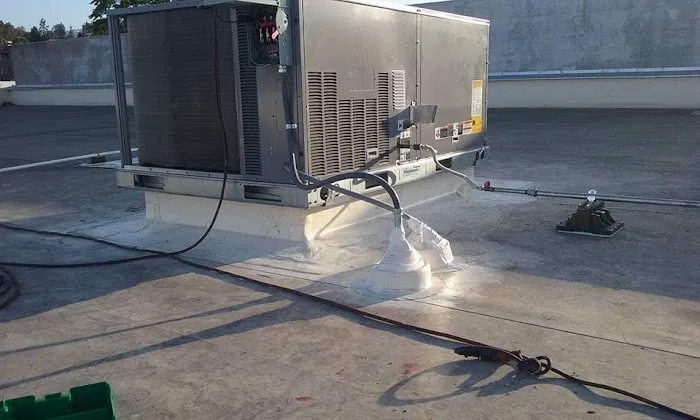 Ace Roofing Systems Picture 5