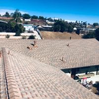 Torrance Roofing Specialists ico