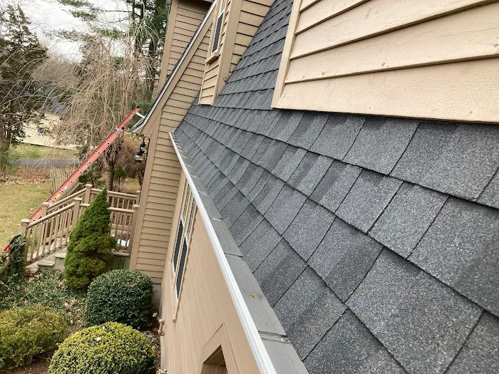 Global Roofing Picture 2