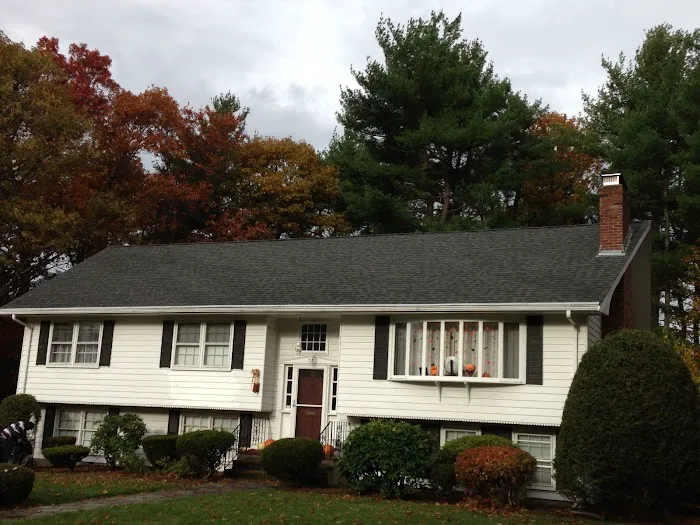 Willard Roofing Company Picture 3