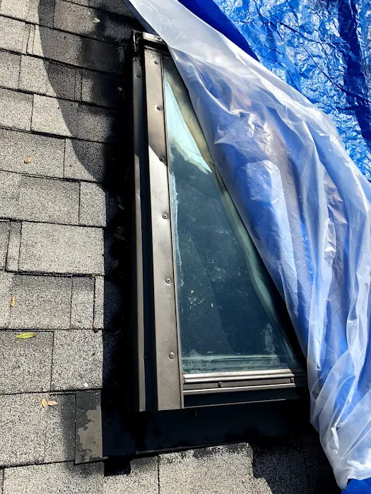 RESCUE ROOFER San Pedro Picture 7