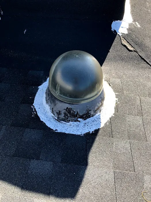 RESCUE ROOFER San Pedro Picture 8