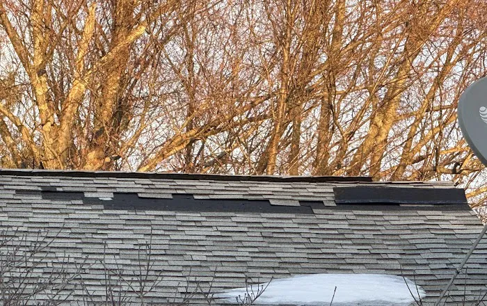 Dynamic Roofing Technologies Picture 4