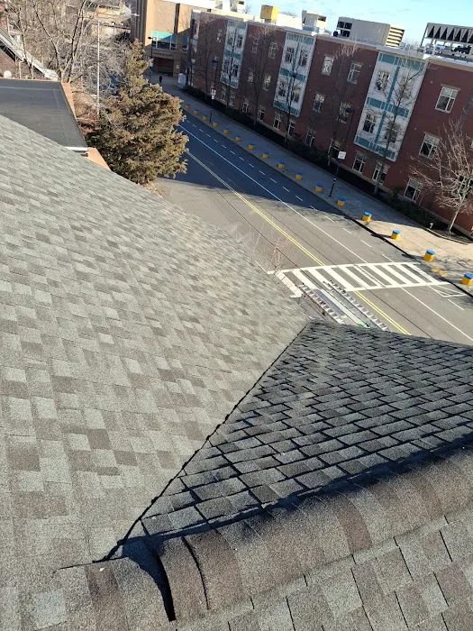 MASTERPIECE ROOFING INC Picture 1