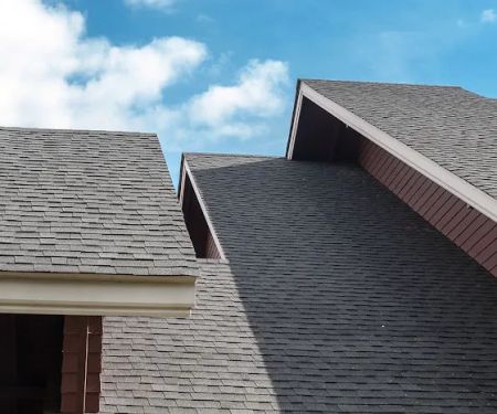 Shingle Guard Roofs