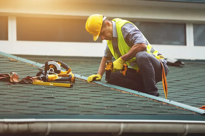 Shingle Guard Roofs Picture 4