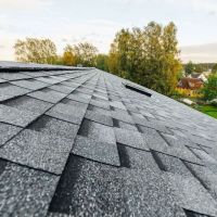 BNF Roofing ico