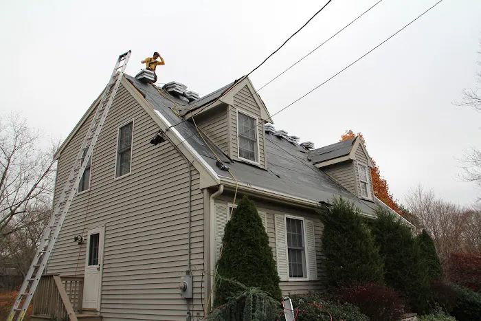 Ferreira Company Picture 1