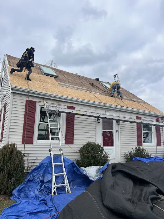 Ferreira Company Picture 4