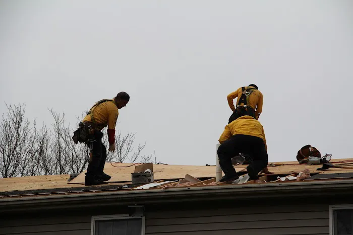 Ferreira Company Picture 7