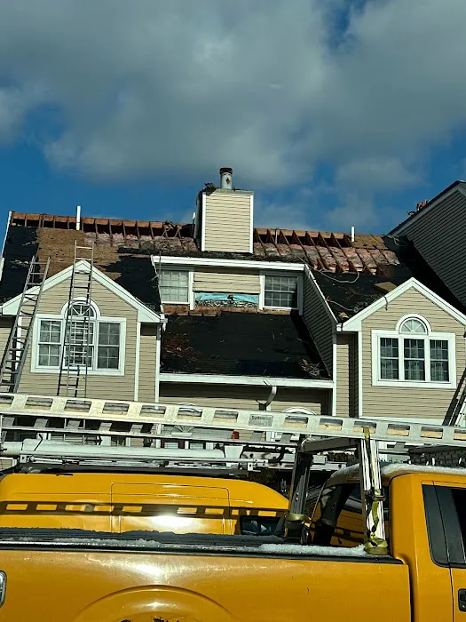 Ferreira Company Picture 6