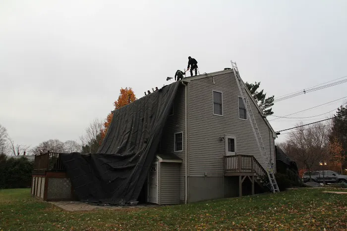 Ferreira Company Picture 10