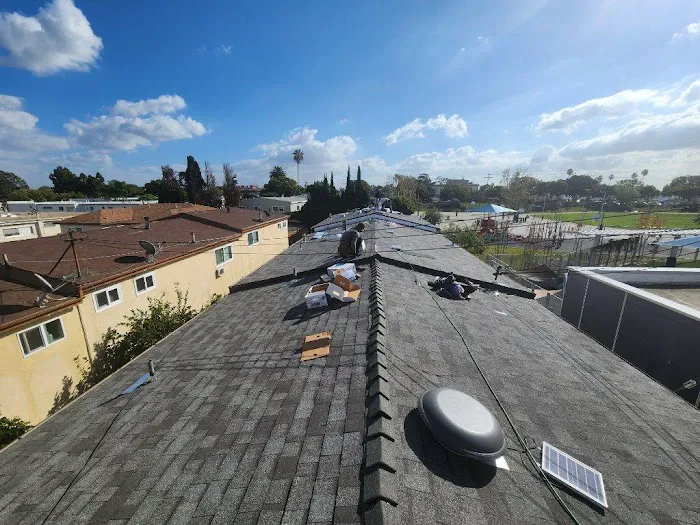 LARA'S ROOF Picture 2