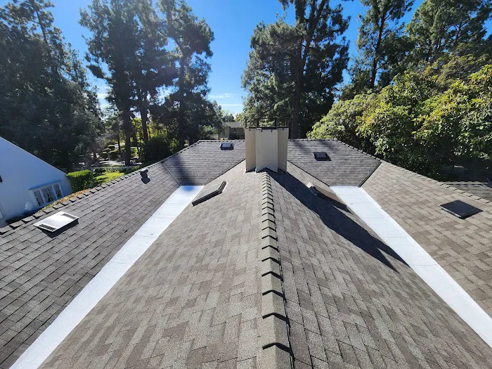 LARA'S ROOF Picture 3