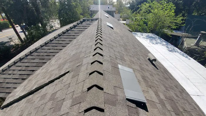 LARA'S ROOF Picture 5