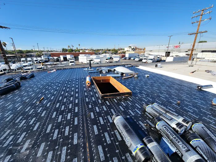 LARA'S ROOF Picture 4