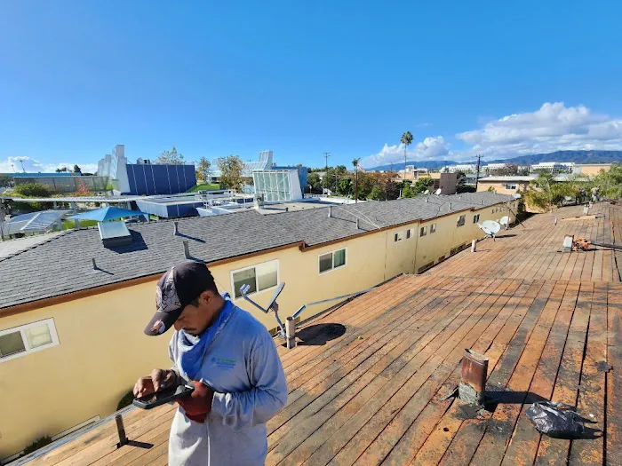 LARA'S ROOF Picture 8