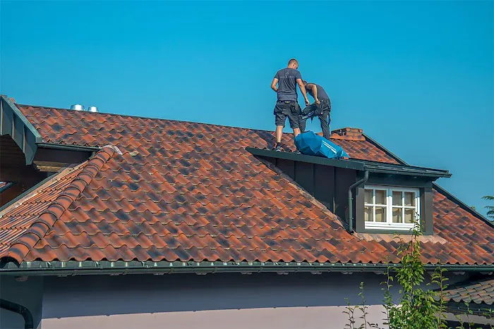 LARA'S ROOF Picture 6