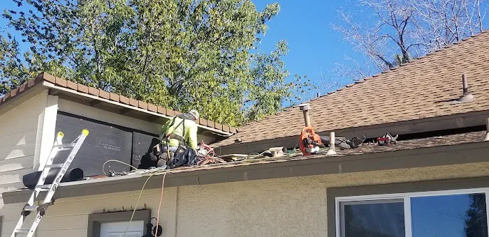 Berry Roofing & Solar Picture 6