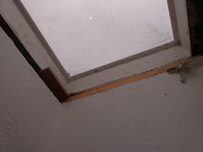 We Roof Picture 3