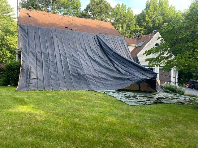 Summer Exterior Inc Picture 6