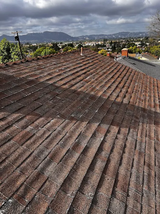 Total Roofing, Inc. Picture 3