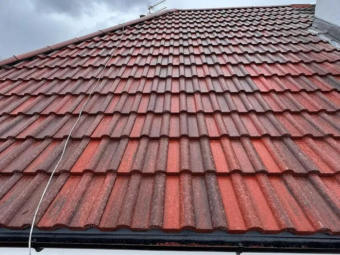 Trackguard Roofing Experts Picture 1