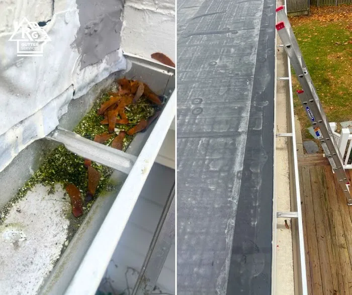 Rosales Gutters LLC Picture 2