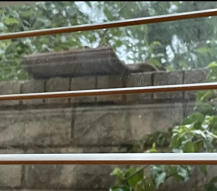Gio Roofing Picture 2
