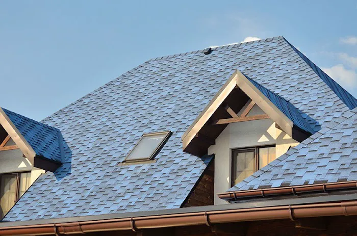 The Roof Sharks Picture 8