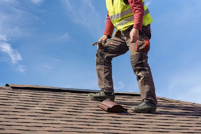 The Roof Sharks Picture 7