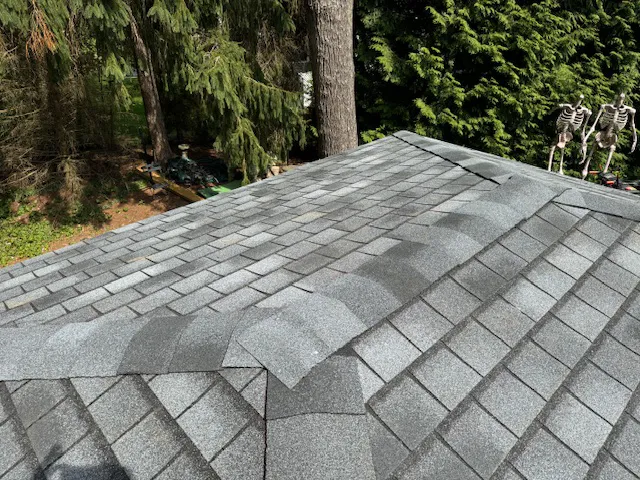 Elevated Exteriors LLC Picture 7