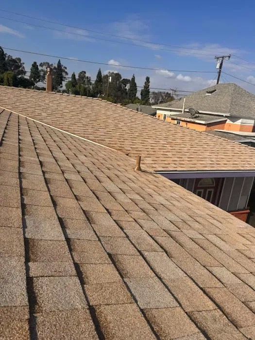 San Pedro Roofing Picture 6