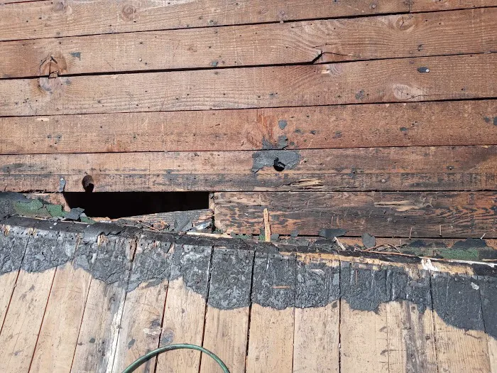 Atomic Roofing Picture 8