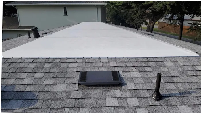 DC ROOFING & WATERPROOFING SYSTEMS INC Picture 9