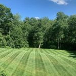 Superior Building Solutions Inc.