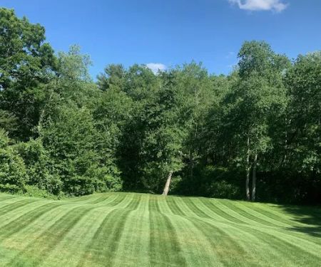 Superior Building Solutions Inc.