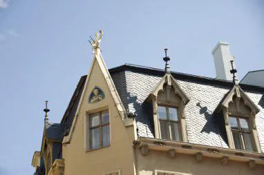 BGY roofs. Picture 4