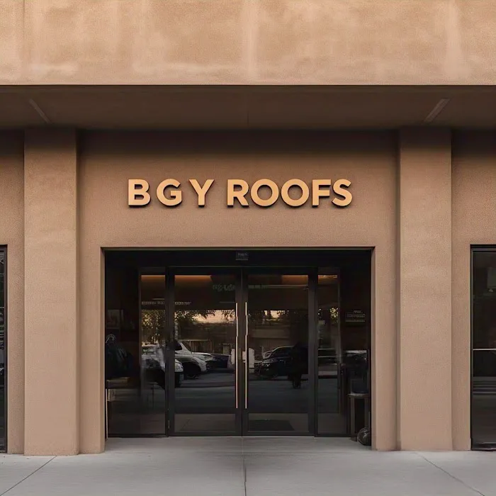 BGY roofs. Picture 8