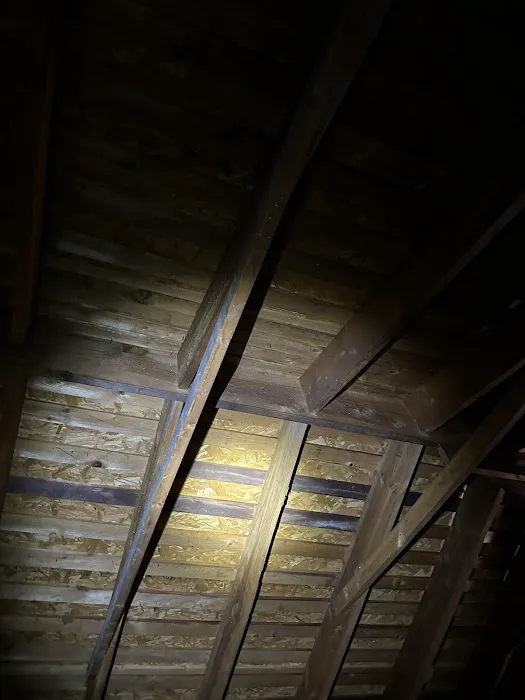 Roof Buddy Picture 3