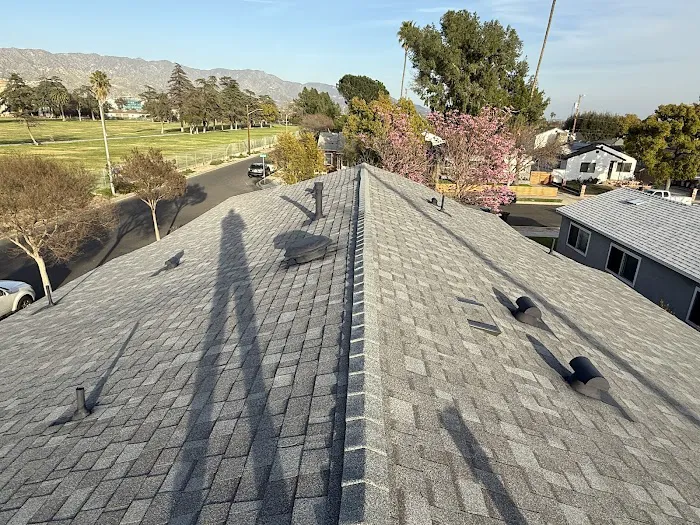 Roof Buddy Picture 4