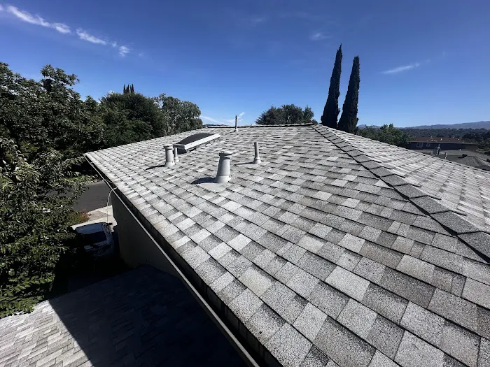 Roof Buddy Picture 7