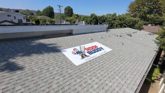 Roof Buddy Picture 10