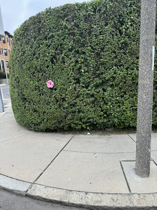 Malcolm Contracting Services LLC Picture 9