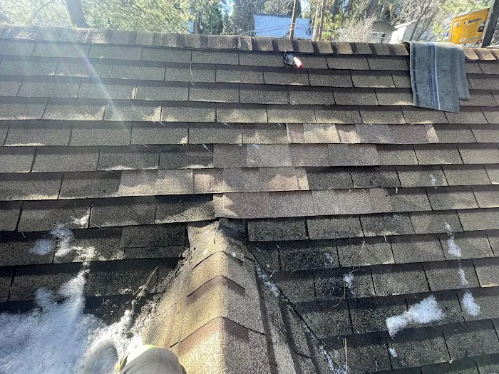 Colon Prestige Roofing Picture 4